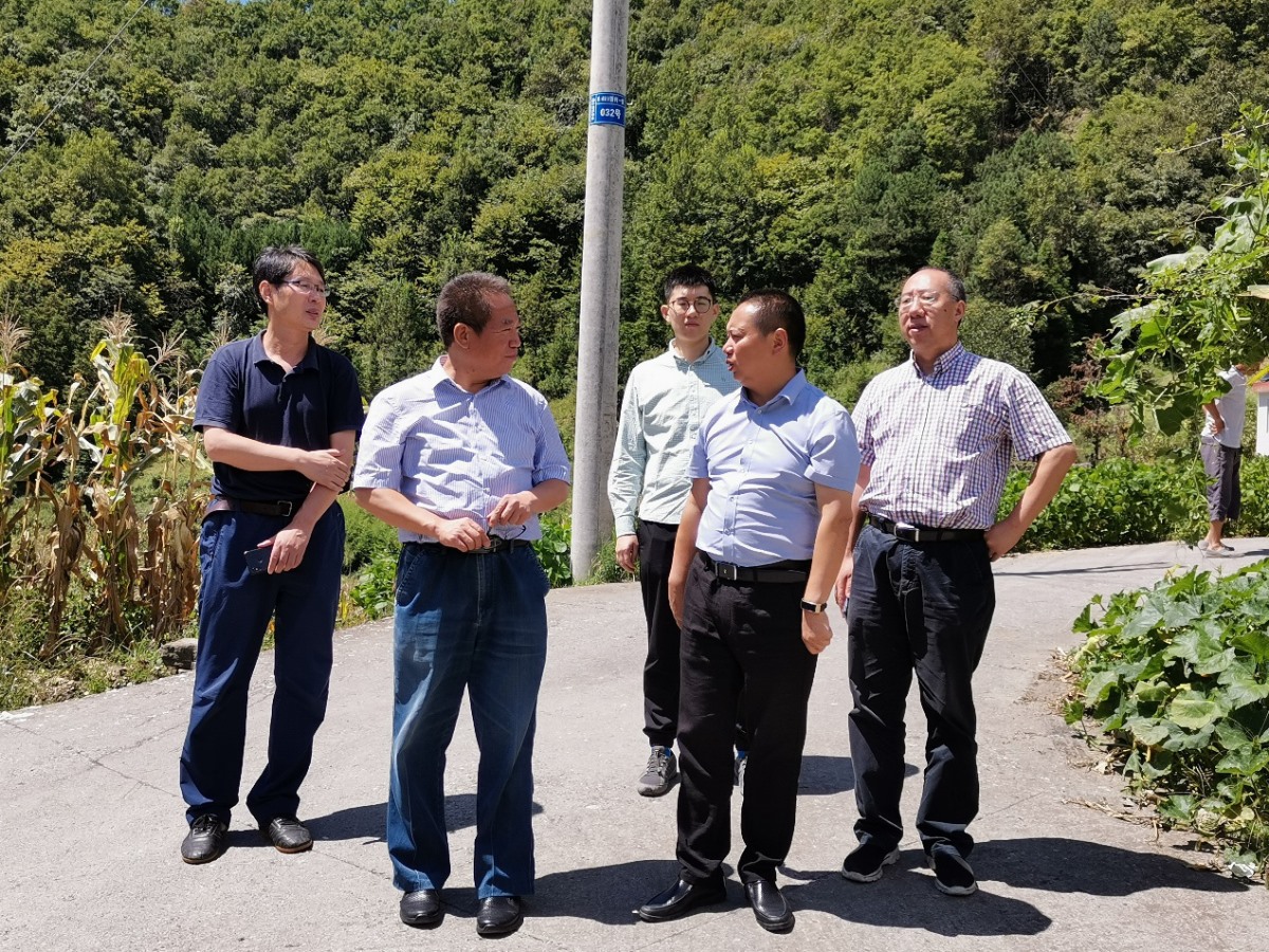 南宫NG28相信品牌的力量网址(中国游)官网