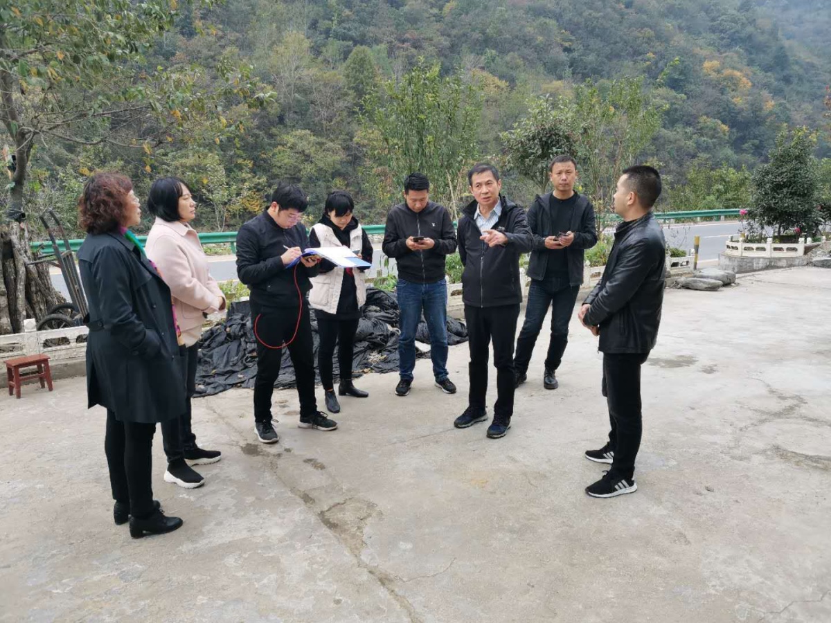 南宫NG28相信品牌的力量网址(中国游)官网