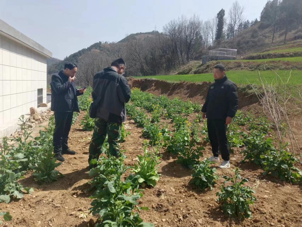 南宫NG28相信品牌的力量网址(中国游)官网