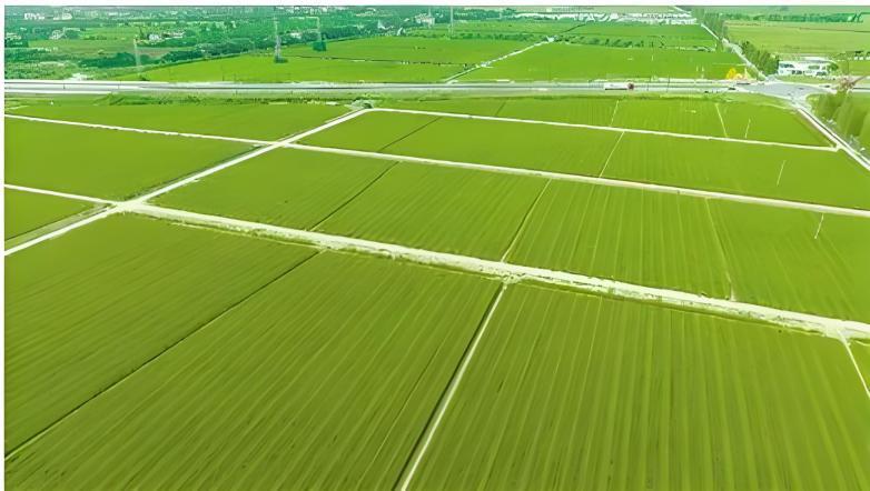 南宫NG28相信品牌的力量网址(中国游)官网